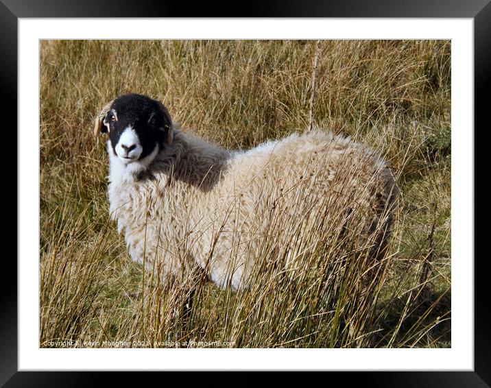 Majesty in the Yorkshire Dales Framed Mounted Print by Kevin Maughan