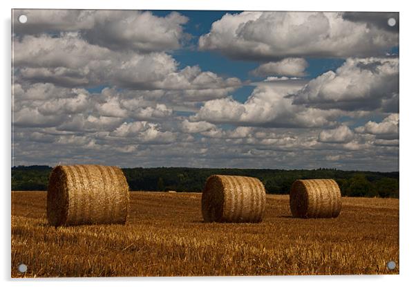 Three Bales Acrylic by Joyce Storey