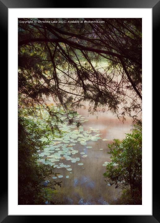 Summer Dreaming Framed Mounted Print by Christine Lake