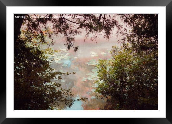 Summer Dreaming 3 Framed Mounted Print by Christine Lake