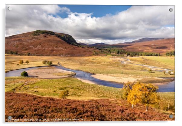 Linn of Dee in Autumn Cairngorms NP Scotland. Acrylic by Barbara Jones