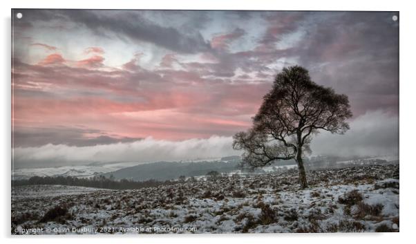 Lone tree on a Winter's morning Acrylic by Gavin Duxbury
