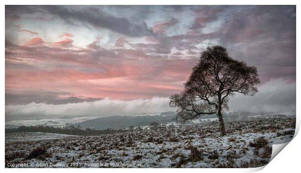 Lone tree on a Winter's morning Print by Gavin Duxbury
