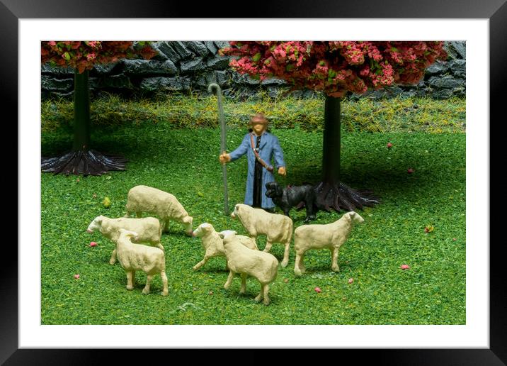 The Smallville Shepherd Framed Mounted Print by Steve Purnell