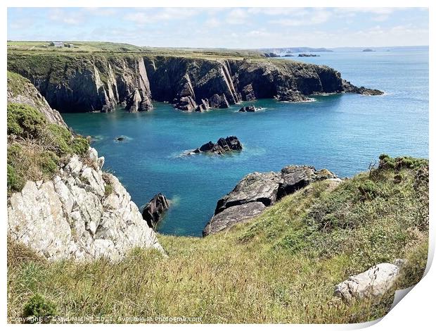 Along the South Wales Coastal Path in Pembrokeshire Print by David Mather