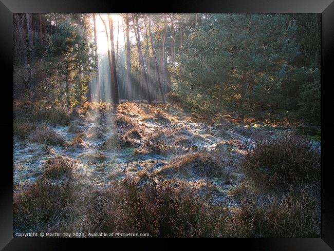 Frosty Sunrays Paint the Woodland Framed Print by Martin Day