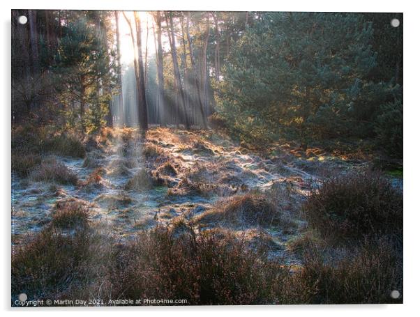 Frosty Sunrays Paint the Woodland Acrylic by Martin Day