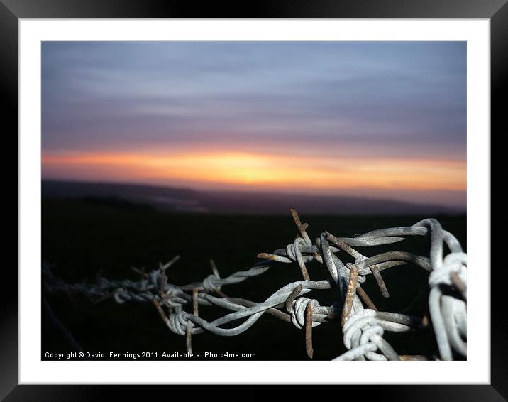 Barbwire Sunset Framed Mounted Print by David  Fennings