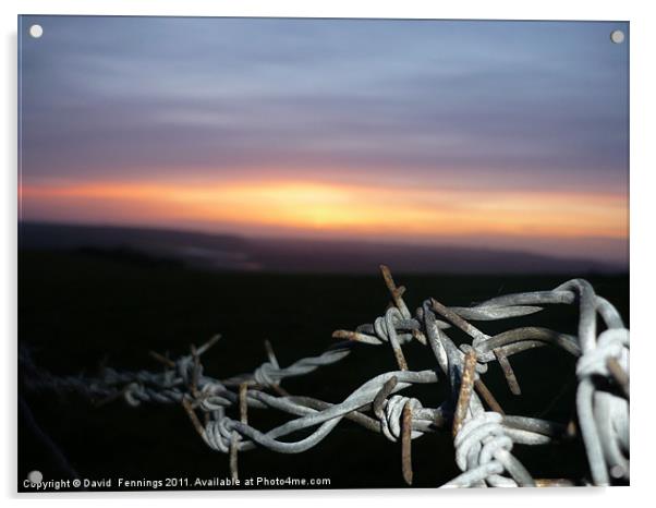Barbwire Sunset Acrylic by David  Fennings