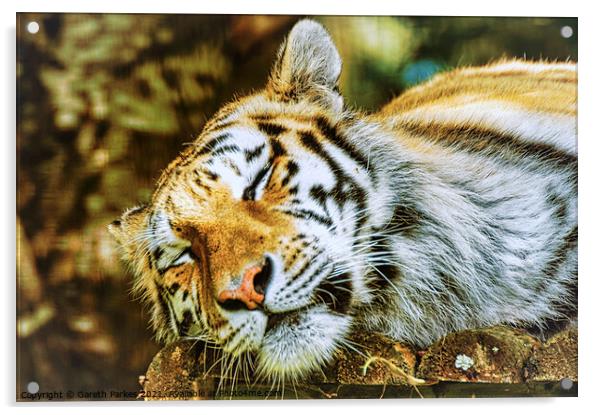 Siberian Tiger Acrylic by Gareth Parkes