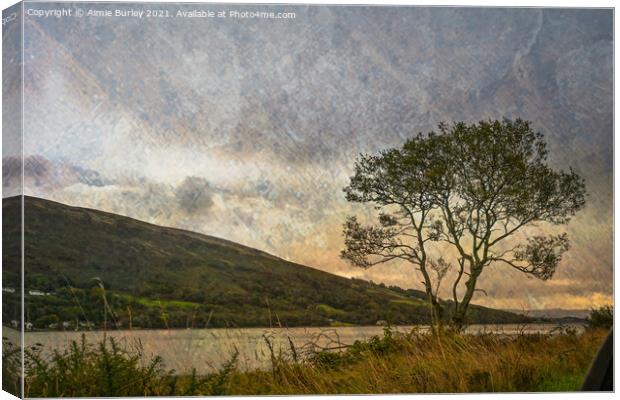 Rothesay tree Canvas Print by Aimie Burley