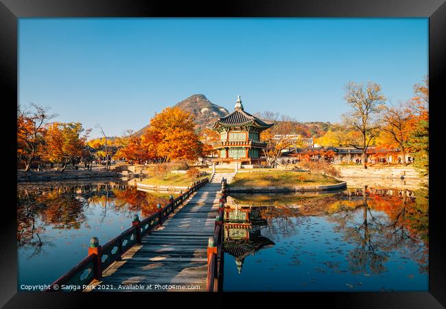 Autumn of Gyeongbokgung Palace in Seoul Framed Print by Sanga Park