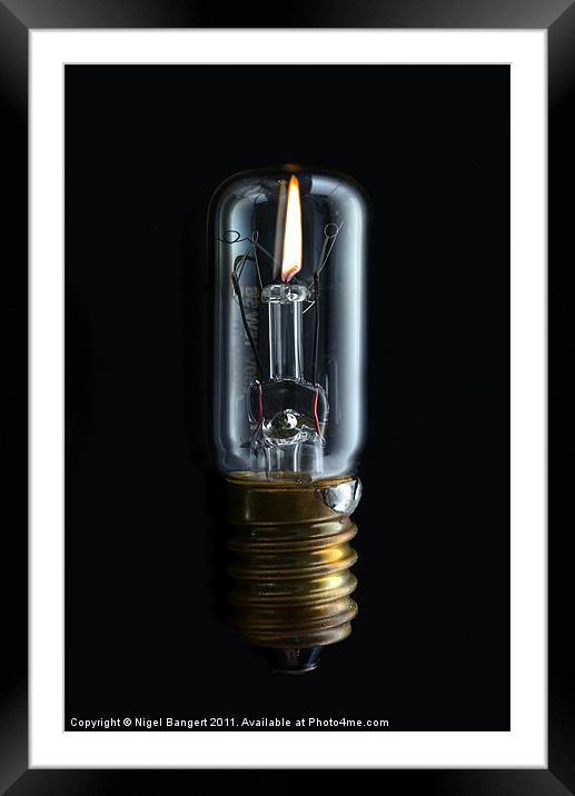 Bulb Framed Mounted Print by Nigel Bangert