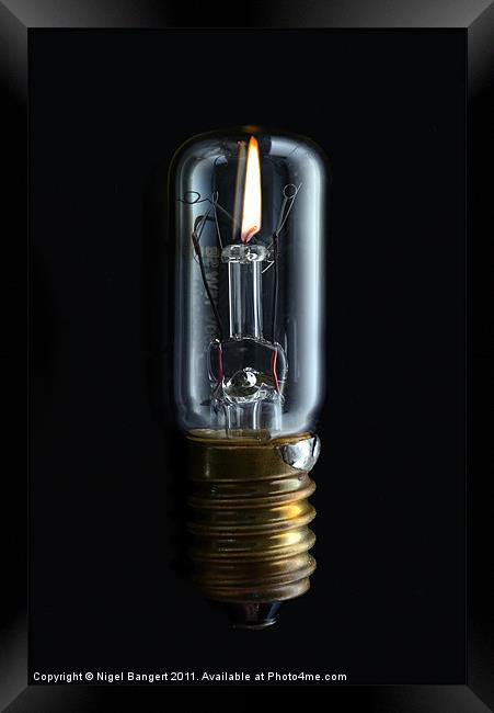 Bulb Framed Print by Nigel Bangert