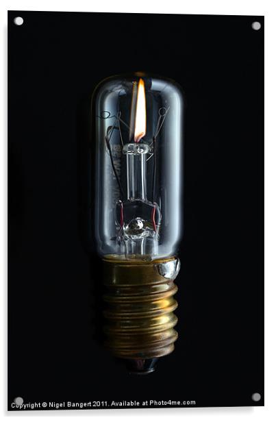Bulb Acrylic by Nigel Bangert