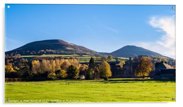 Eildon Hills in Autumn Scottish Borders Acrylic by Pearl Bucknall