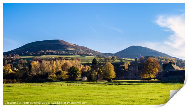 Eildon Hills in Autumn Scottish Borders Print by Pearl Bucknall
