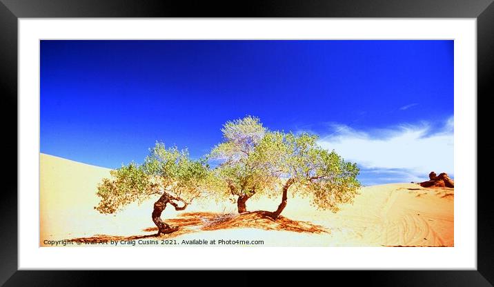 Cottonwood Trees surviving in the High Red Desert, Utah.  To survive at all costs? Sometimes your own environment is hostile but you need to find a way to come through. Framed Mounted Print by Wall Art by Craig Cusins