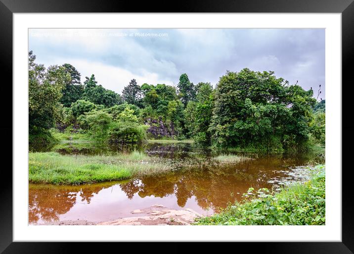 Reflection in a pond Framed Mounted Print by Lucas D'Souza