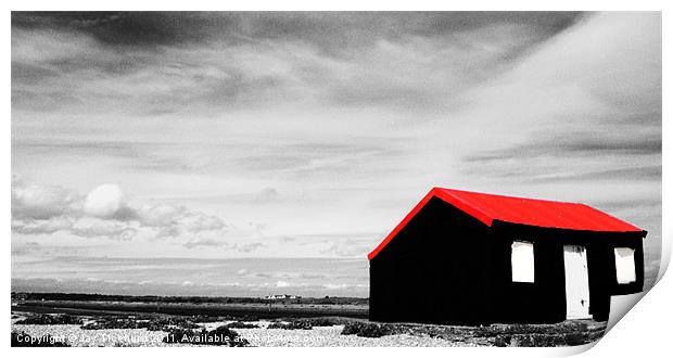 Home By The Sea Print by Jay Ticehurst