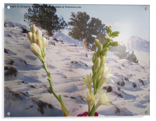 Gladiolus in winter, Acrylic by Ali asghar Mazinanian