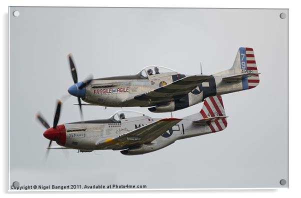 North American P-51D Mustangs Acrylic by Nigel Bangert