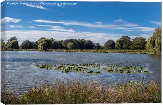 Bushy Park Ponds in Surrey Canvas Print by Kevin White