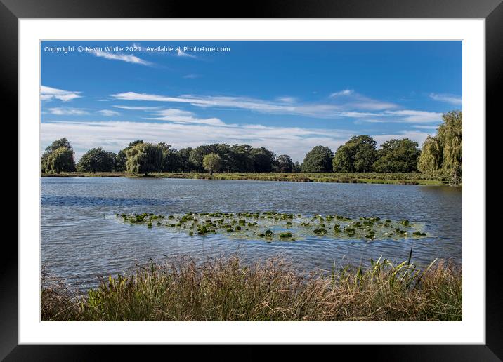 Bushy Park Ponds in Surrey Framed Mounted Print by Kevin White