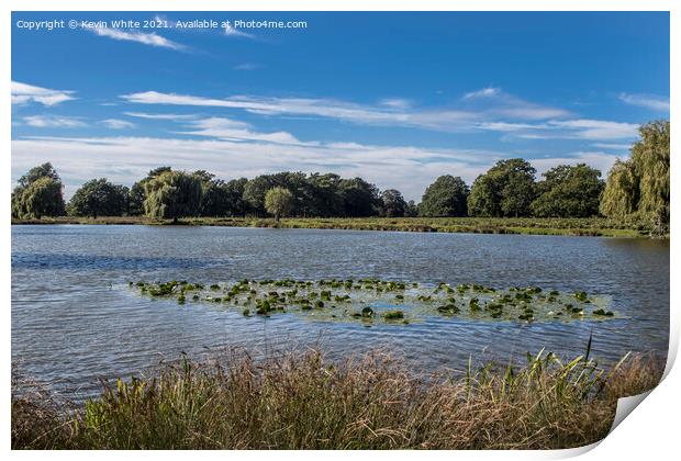 Bushy Park Ponds in Surrey Print by Kevin White