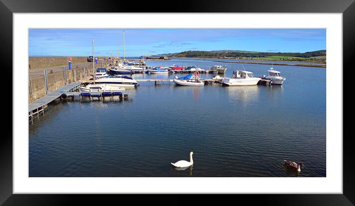 Maidens harbour Ayrshire Framed Mounted Print by Allan Durward Photography