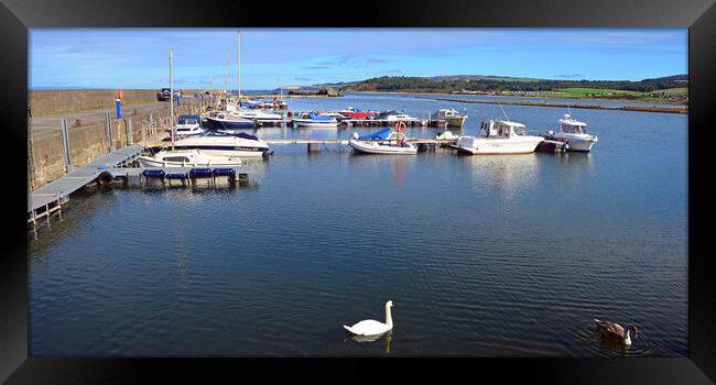 Maidens harbour Ayrshire Framed Print by Allan Durward Photography