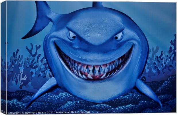 Shark grinning  Canvas Print by Raymond Evans