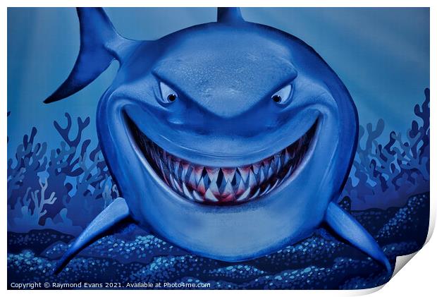 Shark grinning  Print by Raymond Evans