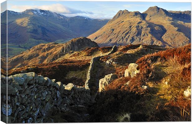 Langdale Views Canvas Print by Donna Connolly