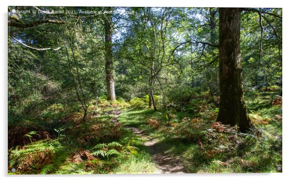 Enchanting Autumn Path in The New Forest Acrylic by Derek Daniel