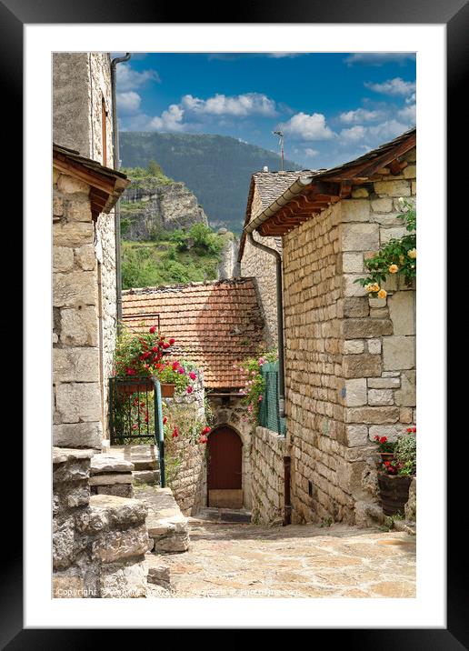 Village houses in the Tarn France. Framed Mounted Print by Ann Mechan