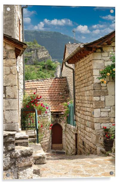Village houses in the Tarn France. Acrylic by Ann Mechan