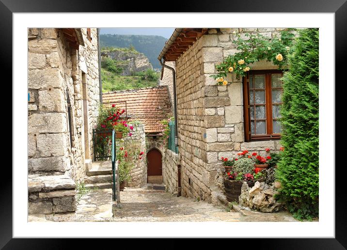 Village in the gorges of the Tarn, France  Framed Mounted Print by Ann Mechan