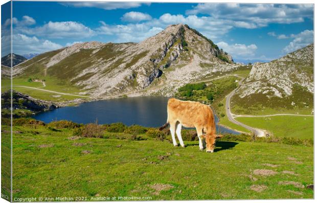 Mountains and lake of the Picos Canvas Print by Ann Mechan