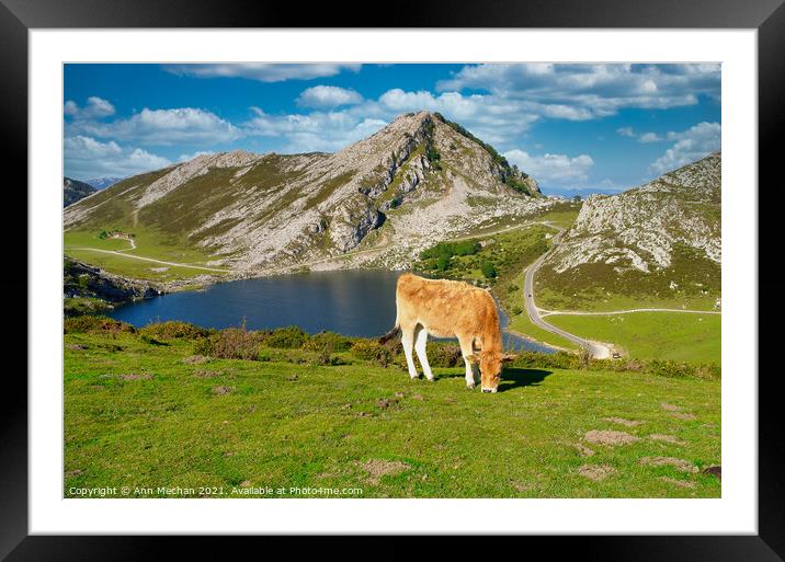 Mountains and lake of the Picos Framed Mounted Print by Ann Mechan