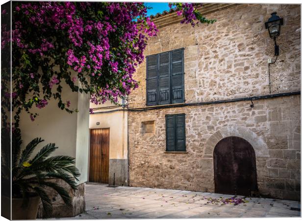 old town alcudia Canvas Print by Jason Thompson