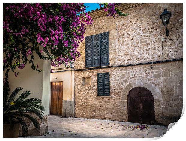 old town alcudia Print by Jason Thompson