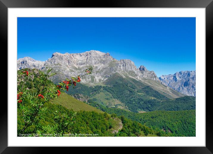 Mountains of the Picos Spain Framed Mounted Print by Ann Mechan