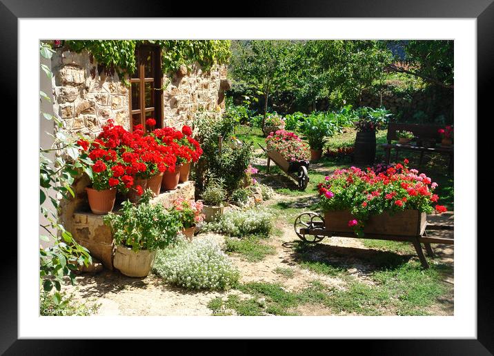 Garden in the Cevennes, France Framed Mounted Print by Ann Mechan