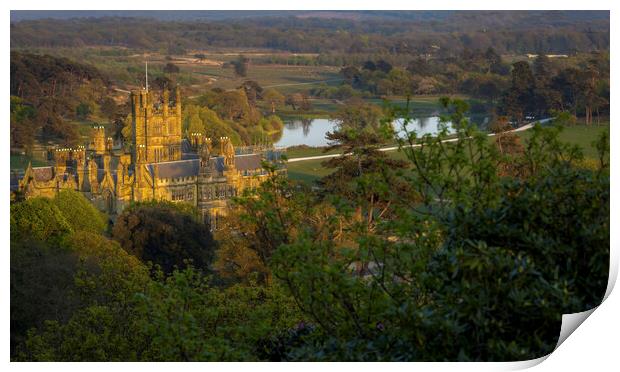 Margam Park and castle Print by Leighton Collins