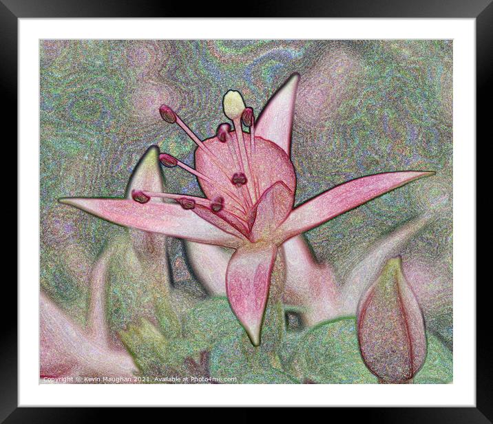Digital Artwork Of A Lilly Flower Framed Mounted Print by Kevin Maughan