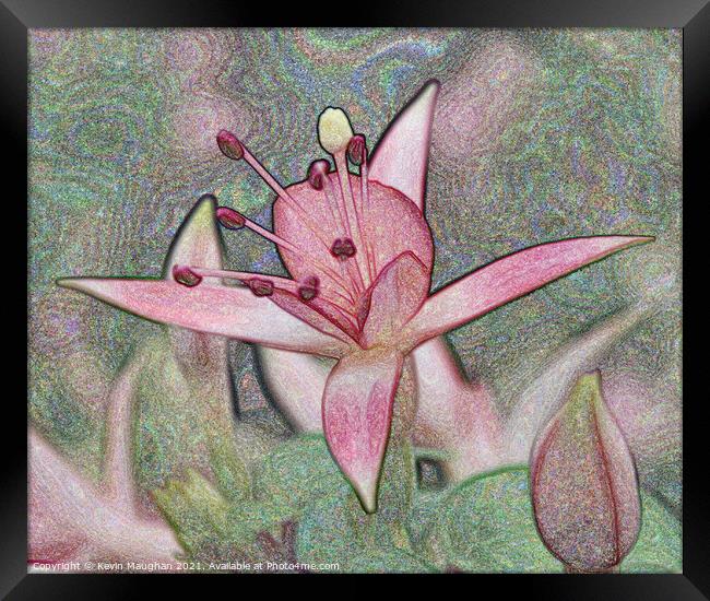 Digital Artwork Of A Lilly Flower Framed Print by Kevin Maughan