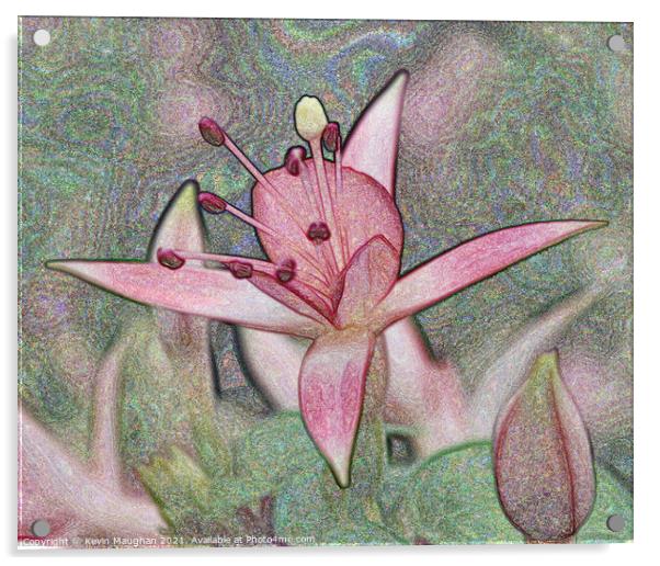 Digital Artwork Of A Lilly Flower Acrylic by Kevin Maughan