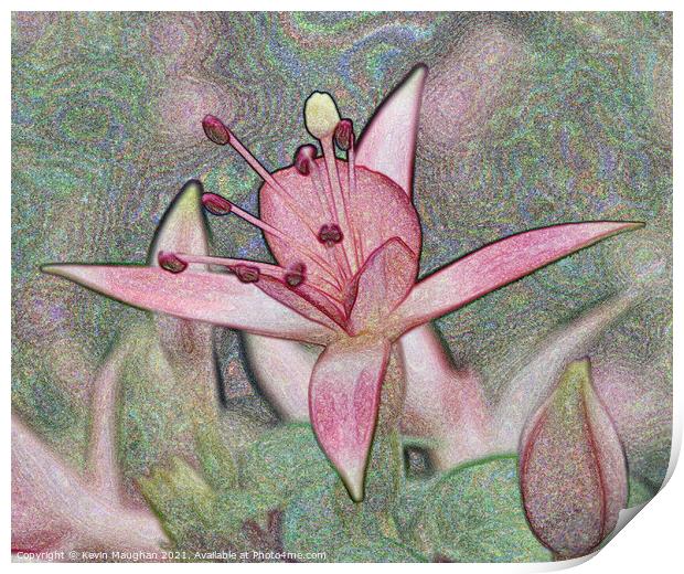 Digital Artwork Of A Lilly Flower Print by Kevin Maughan