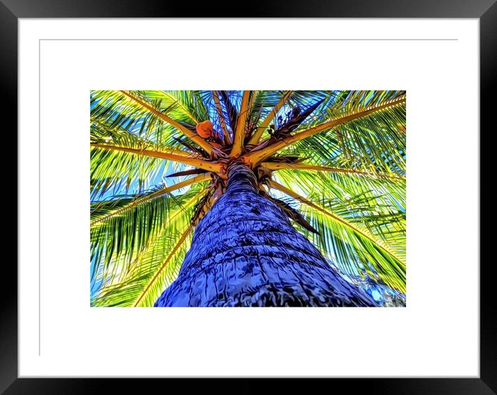 Abstract shape Coconut Tree Framed Mounted Print by Rachid Karroo